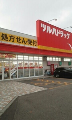 Ｆ．Ｌ．スプリングメッセの周辺|ツルハドラッグまで1130m