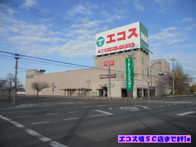【周辺】 | プライム　パレス | エコス境ＳＣ店まで891m