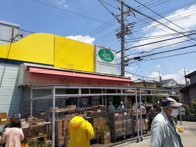 サラソウジュの周辺|ランドロームジャパン三咲店まで800m