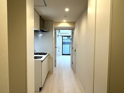 VIOR文京関口のその他|玄関からの室内※同タイプ別部屋2025.12新築未入居時撮影