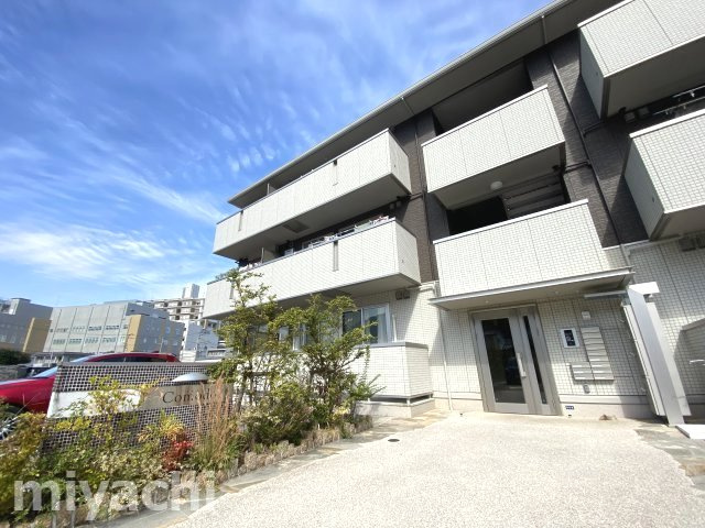 コモド