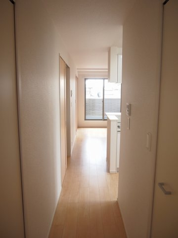 シャイニーのその他