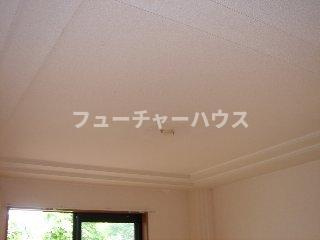 レジデンス　Ｏのその他|リビング天井