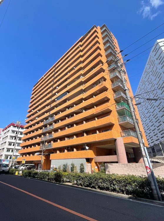 ライオンズシティ難波南の外観