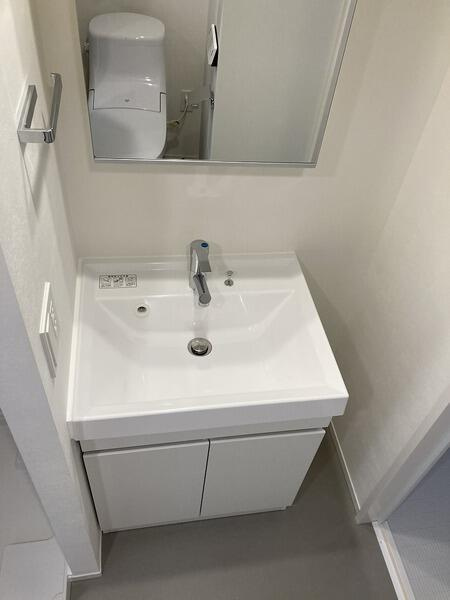 ASTILE三軒茶屋Ⅳの洗面所