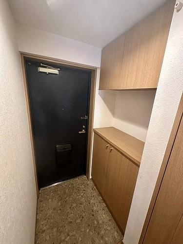 レジネッタ江戸堀の玄関|シンプルで使いやすい玄関です
