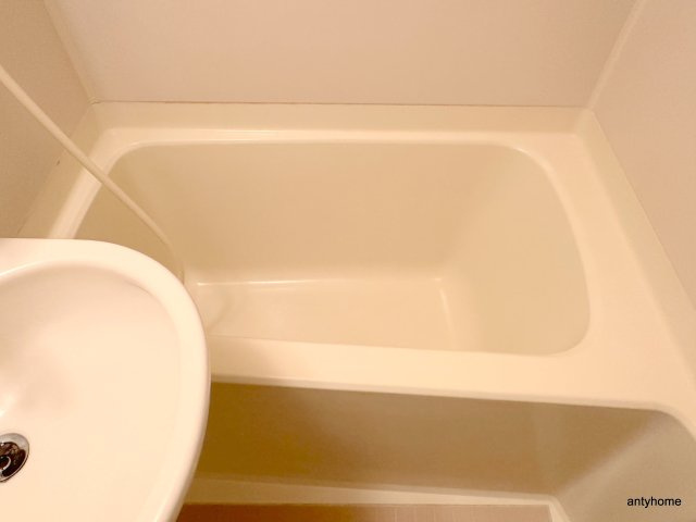 ライオンズシティ難波南　仲介手数料無料の浴室