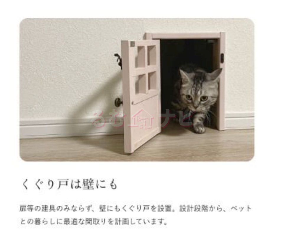 福岡市南区大楠３丁目の賃貸マンションのエントランス