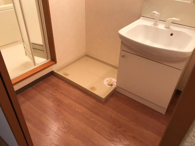 Haｍaステイツのその他|洗濯機置場