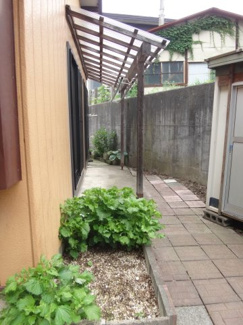 【庭】 | 伊藤貸家