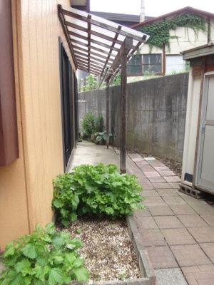 【庭】 | 伊藤貸家