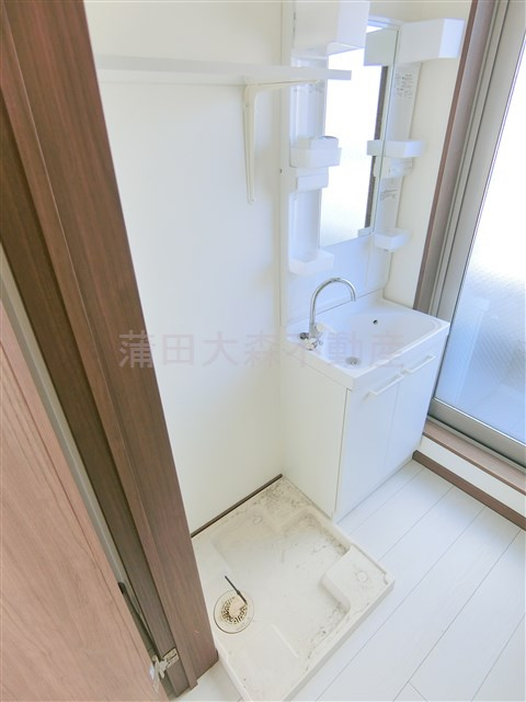 チェスナッツ蒲田の洗面所
