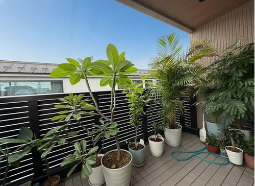 戸建 西東京市北町４丁目のバルコニー