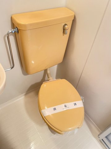 アショカニーローズ館のトイレ|トイレも気になるポイント