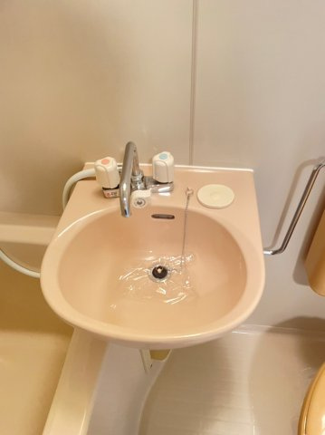 アショカニーローズ館の洗面所|使いやすい洗面所です