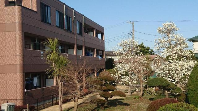 ノーブルヒルの外観|外観写真（昼）