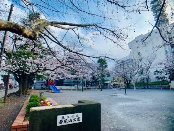 若尾山ハイツの周辺
