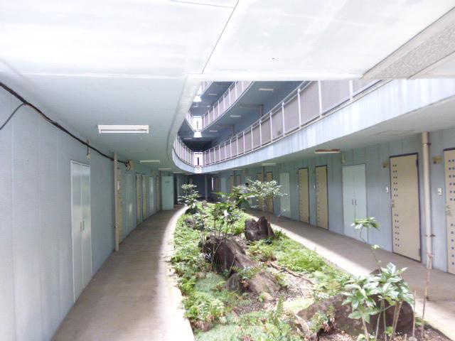 エストレージャ湘南のその他
