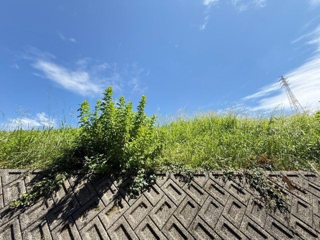 リバリステ庄内緑地公園| 名古屋市の賃貸ならMy賃貸の展望|リバリステ庄内緑地公園