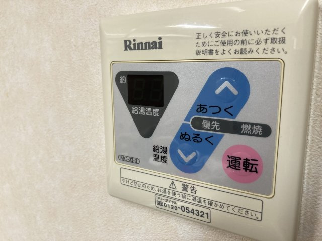 ヴィレッタ・エムのその他