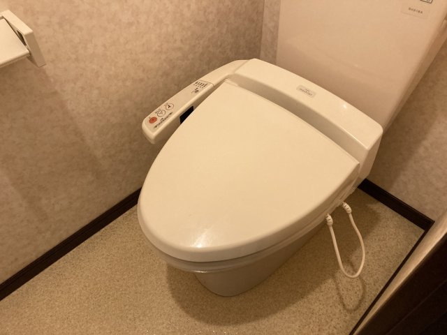 ヴィレッタ・エムのトイレ