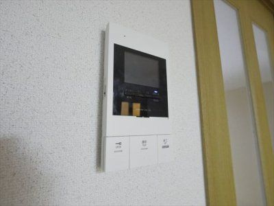 ブランペルルのセキュリティ