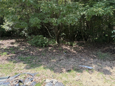 【外観】 | 天草市栖本町古江　土地