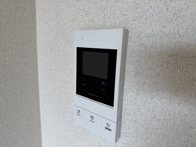 フロン・ツオーネのセキュリティ