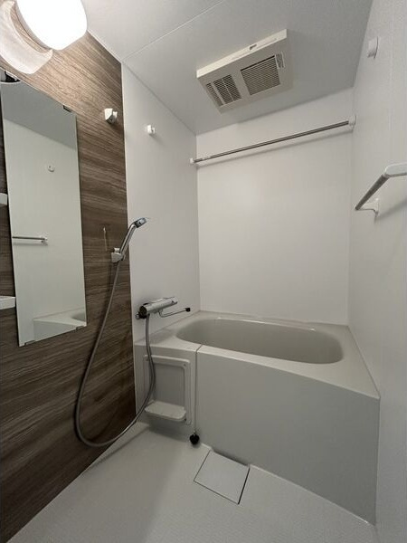 S-RESIDENCE岡崎公園aureateの浴室