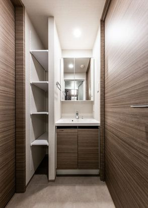 DIPS東十条駅前RESIDENCEの洗面所