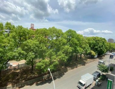 【展望】 | 朝日大通り公園マンション