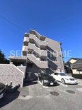 Ａｎｎｅｘ　Ｐａｉｒの画像