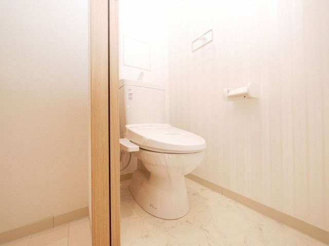 L-IDEA MINAMIHORIEのトイレ