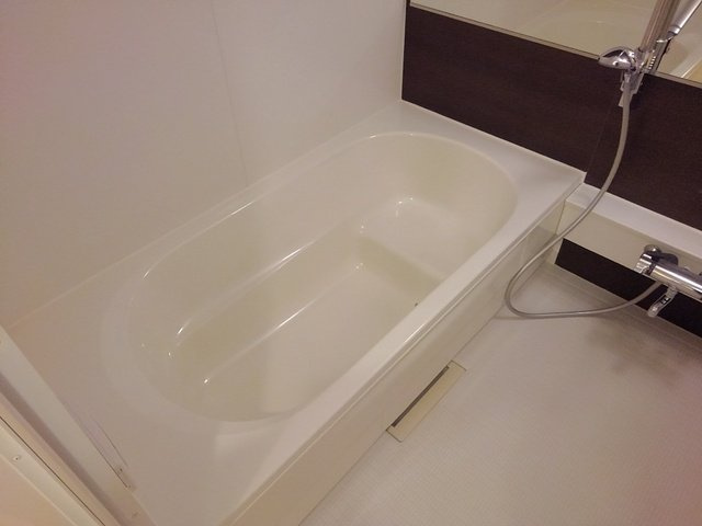 ハイドレイジア　Ⅰの浴室