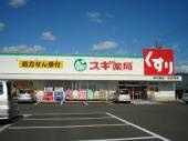 サンライズの周辺|スギ薬局野立橋店まで1,002ｍ