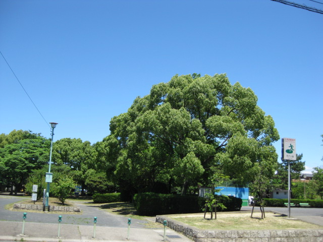 グランチェスタの周辺|荒子公園まで1,572ｍ