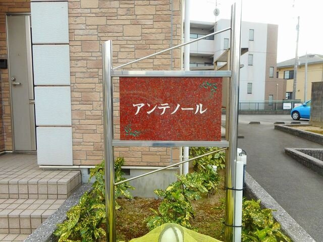 アンテノールのその他