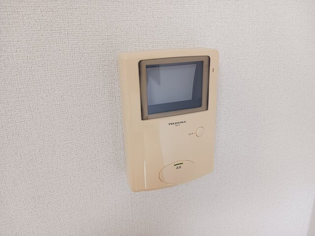シューネスのその他