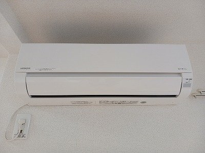 プラシード　Ｎのその他