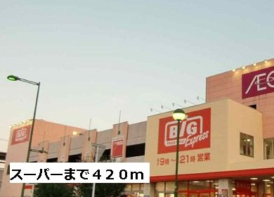 ネオサイトの周辺|ビッグまで420m