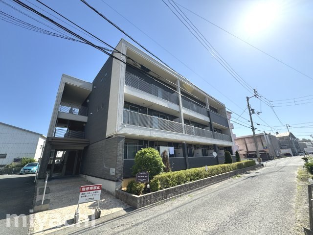 ブエナ・ビスタ