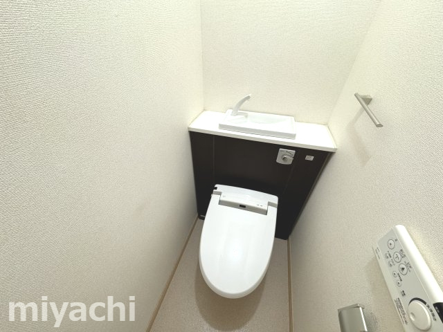 ブエナ・ビスタのトイレ