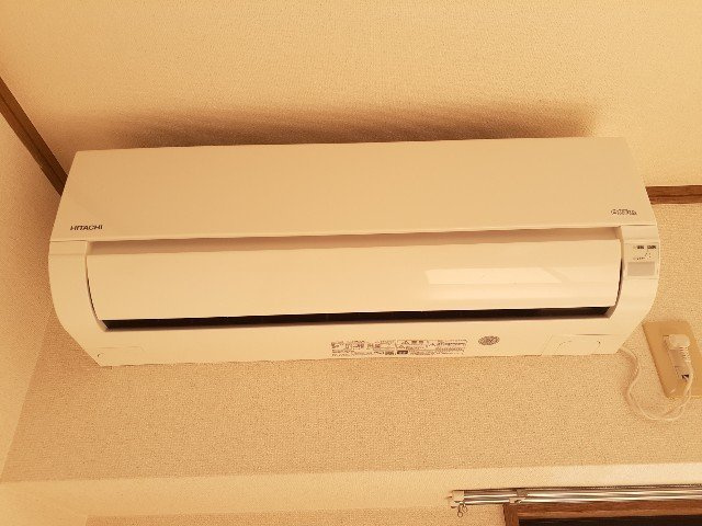 プラシード幸のその他
