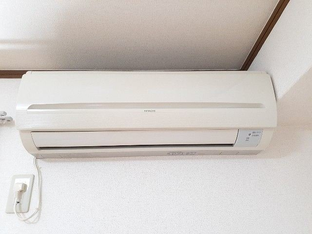 シューネスのその他