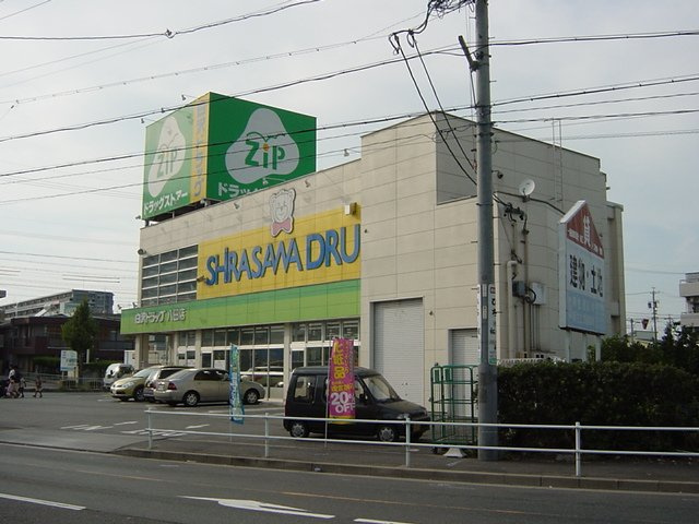 ボンヌール柳瀬の周辺|ジップドラッグ白沢八田店まで715ｍ