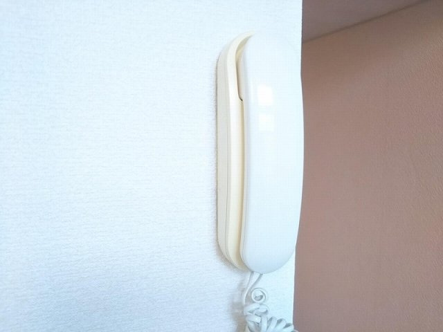 レオパレス桂のその他