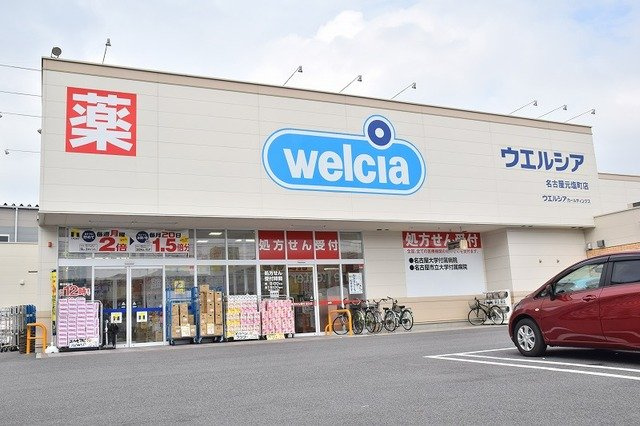 グランドールかさでらの周辺|ウエルシア名古屋元塩店まで850m