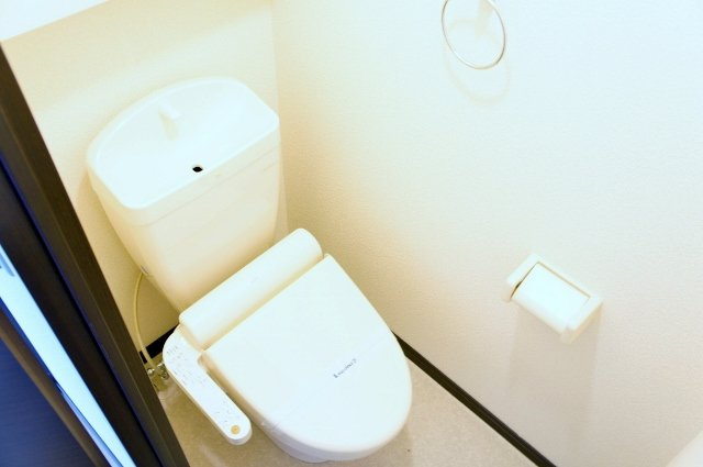レオネクストシャインしだみＡのその他