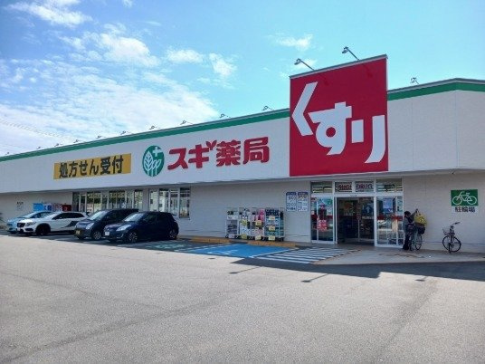 アオ・アクア・ベルⅢの周辺|スギドラッグ南陽店まで900m