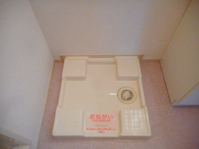 アプリコットのその他